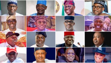 Insecurity: 16 Govs Endorse State Police