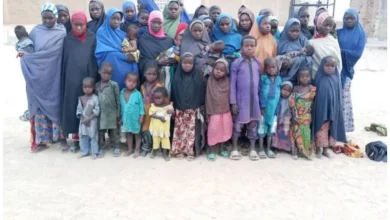 Troops Kill 5 Terrorists, Rescue 78 Victims