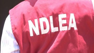 NDLEA Arrests Two Grandpas, Seizes Drugs Concealed In Vehicle Engine