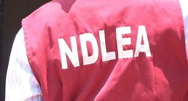 NDLEA Arrests Two Grandpas, Seizes Drugs Concealed In Vehicle Engine