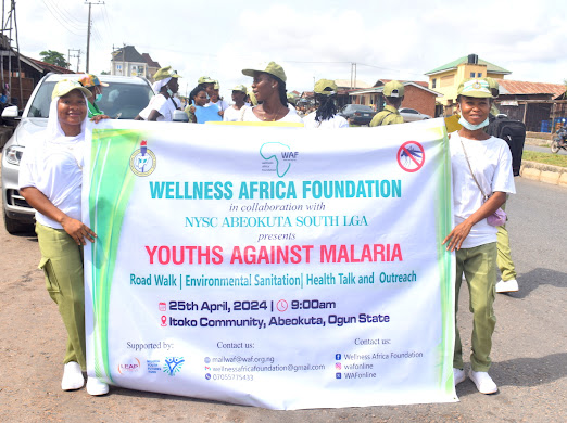 World Malaria Day: NGO Calls For Sustainable Funding For PHCs In Ogun