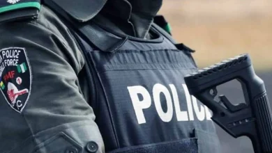 Police Nab 11 Robbery Suspects In Ogun