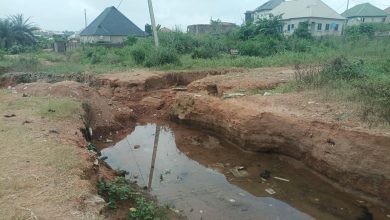 Toddler Dies In Ogun Flooded Gully