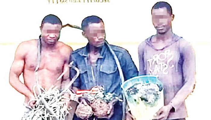 Hoodlums Vandalise Transformer In Ogun, Three Arrested For Cable Theft