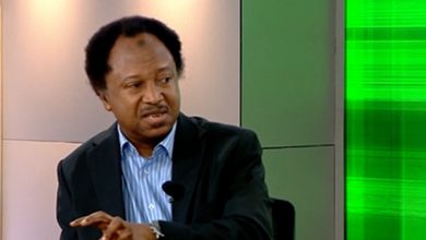 Release EndSARS Protesters Still In Prison, Shehu Sani Urges Tinubu