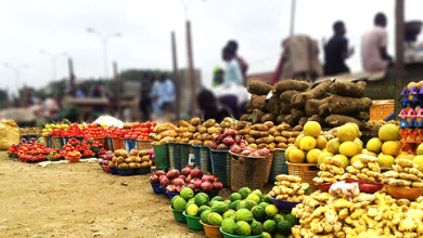 Food Shortage: Group Seeks Support For Yoruba Farmers