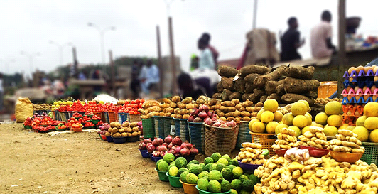 Food Shortage: Group Seeks Support For Yoruba Farmers