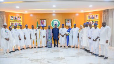 Food Security: Abiodun Allocate Farmland To Assembly Members