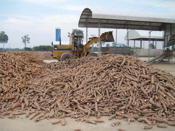 OGSG Commissions Cassava Processing Facility In Odeda