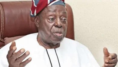 FG Has Turned Nigerians Into Beggars Through Palliatives —Afe Babalola
