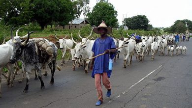 One Dies, Business Grounded As Ogun Hunters, Herders Clash