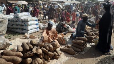 Food Crisis: Army Deploys Officers To Protect Farmers In The North