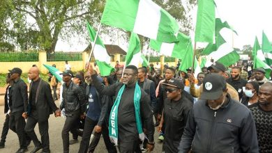 The Protests In The North: A Deeper Look  -By Mogaji Wole Arisekola