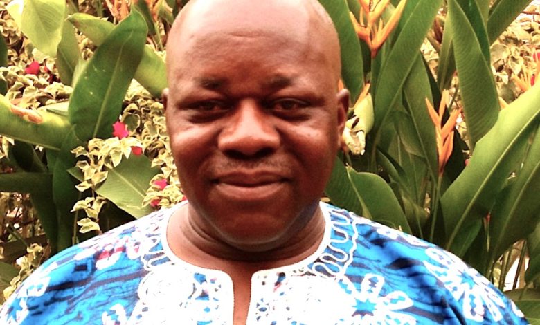 The brutality of bandit terrorism, By Jibrin Ibrahim