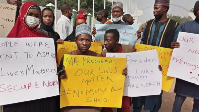 The Protests In The North: A Deeper Look  -By Mogaji Wole Arisekola