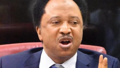 Serving Senators Earn ₦21m Monthly, I Got ₦13m During My Time, Shehu Sani Insists