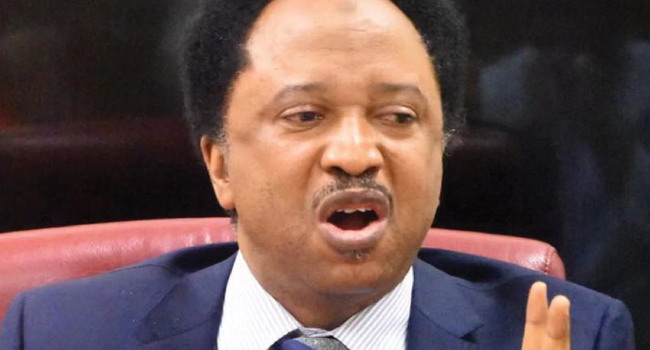 Serving Senators Earn ₦21m Monthly, I Got ₦13m During My Time, Shehu Sani Insists