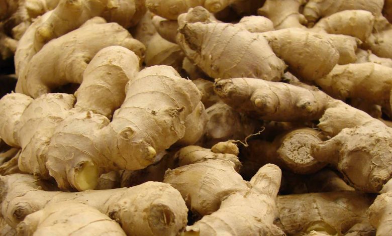 Nigeria ginger farmers lost N12 billion in 2023 – Minister