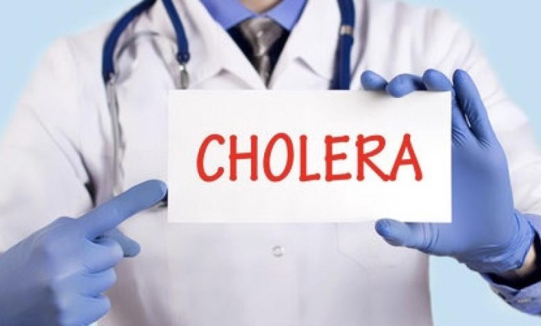 Adamawa govt. confirms 12 deaths from cholera outbreak