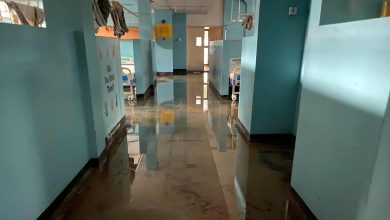 Borno Flood: Reps seek urgent intervention for University of Maiduguri Teaching Hospital