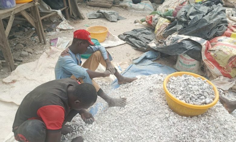 Supplying raw minerals impoverishes Africa – Tinubu