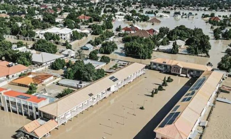 Seyi Tinubu donates medical supplies, food, others to Maiduguri flood victims