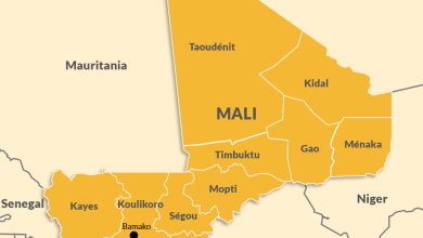 UN chief condemns terrorist attack in Mali