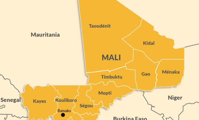 UN chief condemns terrorist attack in Mali