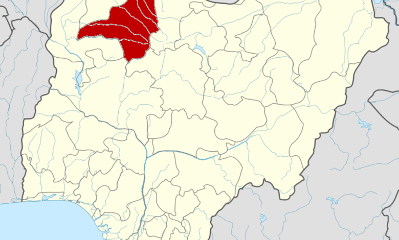 27% of children in two Zamfara communities are malnourished – MSF