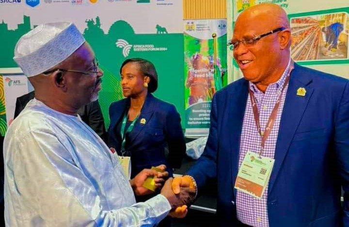 Takeaways from Jigawa governor’s participation in Africa Food Systems Summit, Kigali