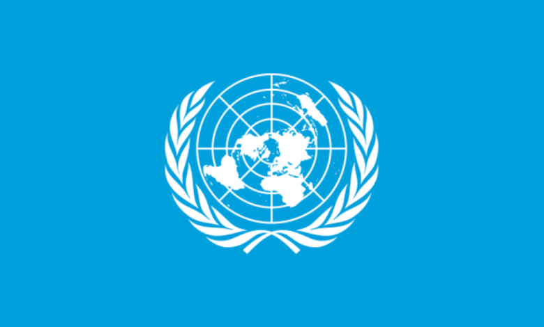 UN restates  million to support Borno flood victims