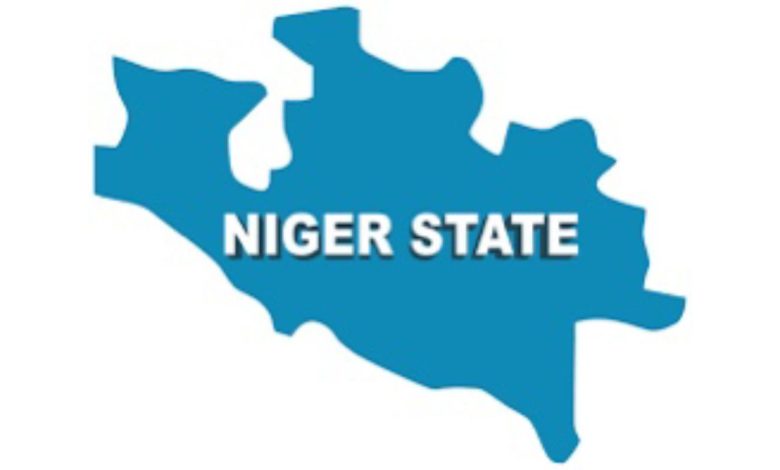 Flood: 11 killed, over 11,8000 farmlands washed away in Niger State – Official