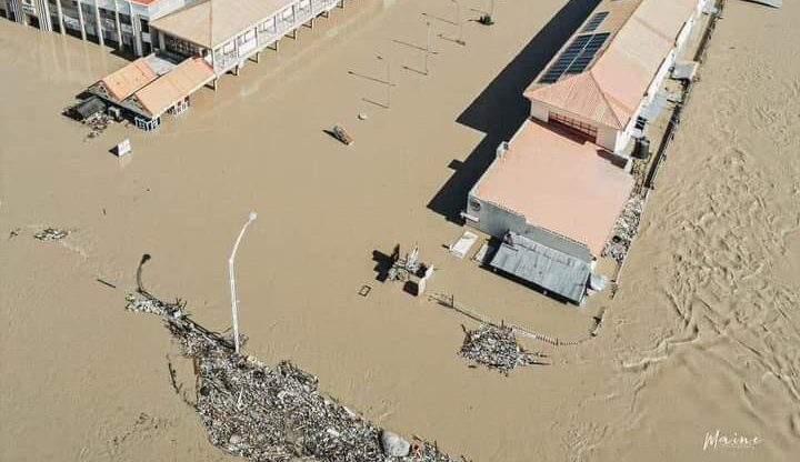 Flood: Zoo warns residents against deadly animals washed out from garden