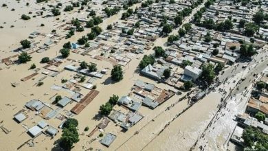 Maiduguri Flood: Dangote, Tinubu, Atiku, Obi, others donate over N12 billion