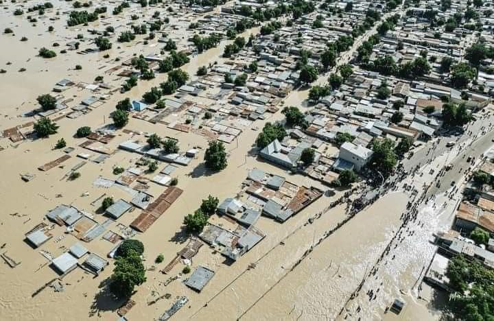 Maiduguri Flood: Dangote, Tinubu, Atiku, Obi, others donate over N12 billion