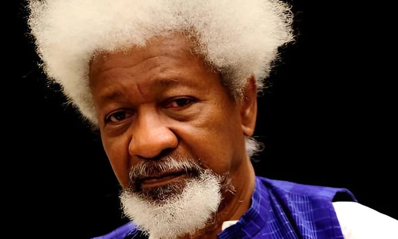 The Man Died: ‘Turning my life into something people can watch pains me’ – Wole Soyinka