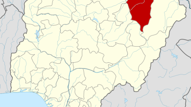 Four die of acute diarrhoea in Yobe – Official