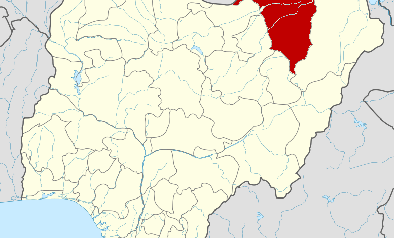 Four die of acute diarrhoea in Yobe – Official