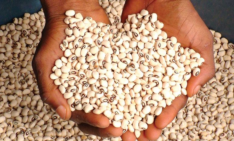 Beans: Common food slipping beyond average Nigerians Beans: Common food slipping beyond average Nigerians