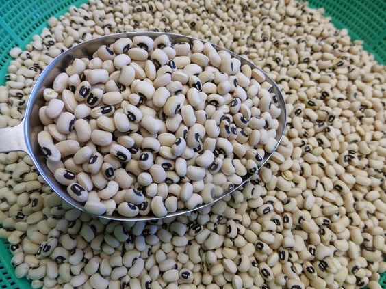 Price of beans rises 272%, eggs 122% in a year – NBS