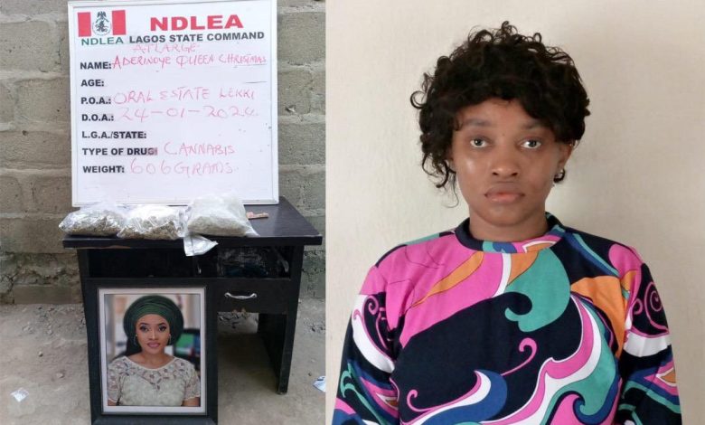 Wanted Nigerian beauty queen turn in self to NDLEA – Official