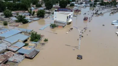 Flood Wreckage: Ogun Government Donates N200m To Borno State