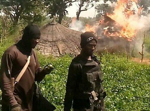 Bandits shift kidnapping focus in Nigeria’s north Bandits shift kidnapping focus in Nigeria’s north