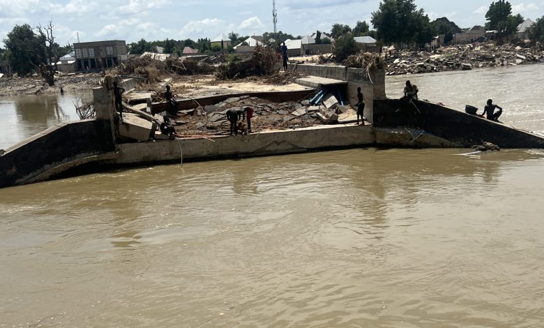 Rising Waters, Sinking Dreams: Devastating impact of floods on Maiduguri local businesses