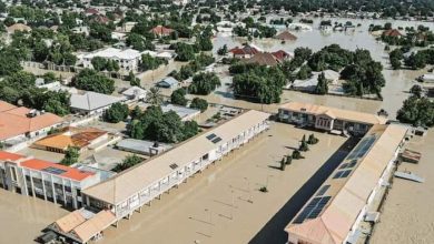 INTERVIEW: How Nigerian government can tackle flooding – Expert