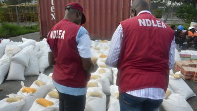 NDLEA seizes 115.226kg of illicit drugs, arrests 149 suspects in Ebonyi