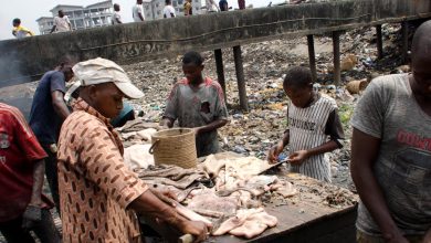 Experts, residents decry state of abattoirs in two Nigerian states –Survey