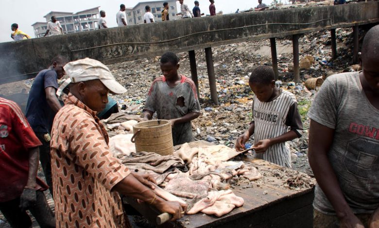 Experts, residents decry state of abattoirs in two Nigerian states –Survey