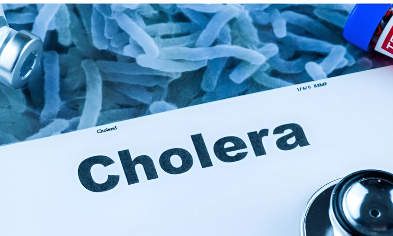 Cholera outbreak kills 10 people in Enugu – Official