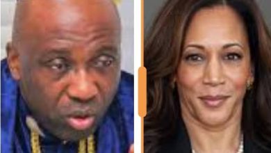 US Presidential Election: States Primate Ayodele Warned Kamala Harris Must Work on To Defeat Donald Trump